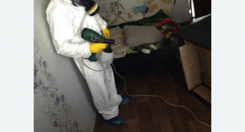 Обработка квартир от насекомых в Тайге