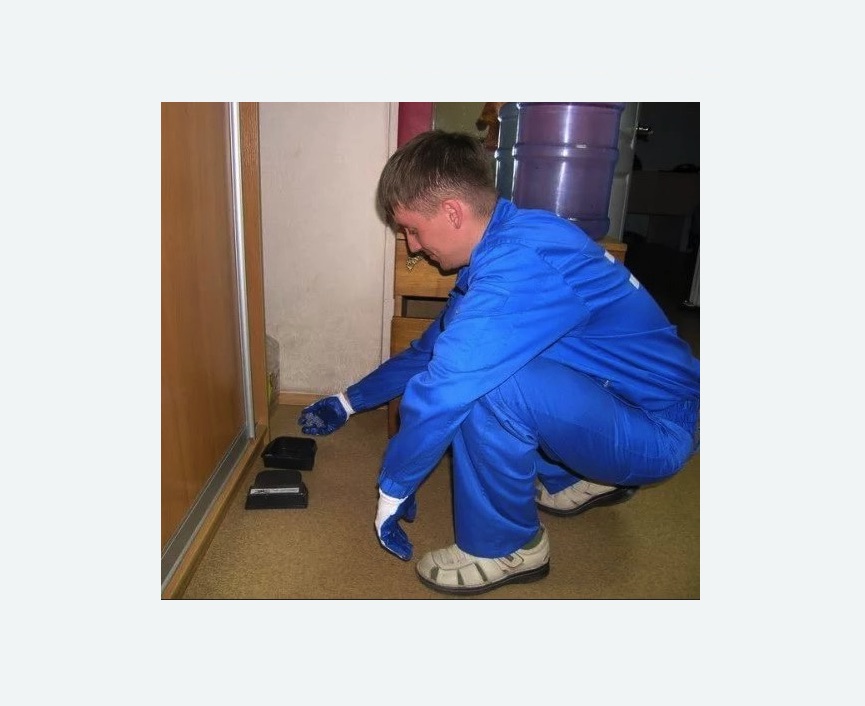 Дератизация крыс в Тайге