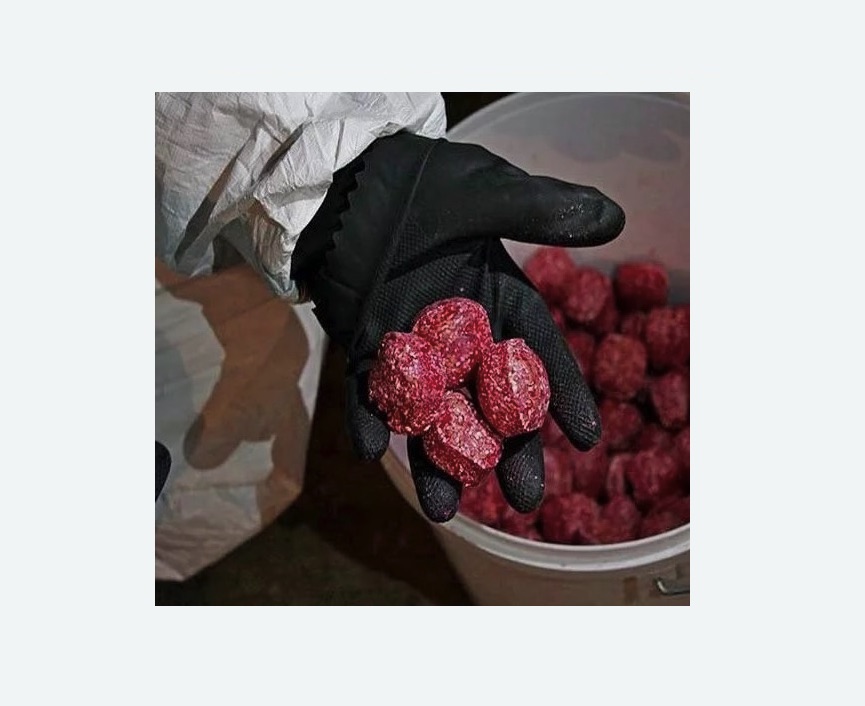 Обработка от крыс в Тайге