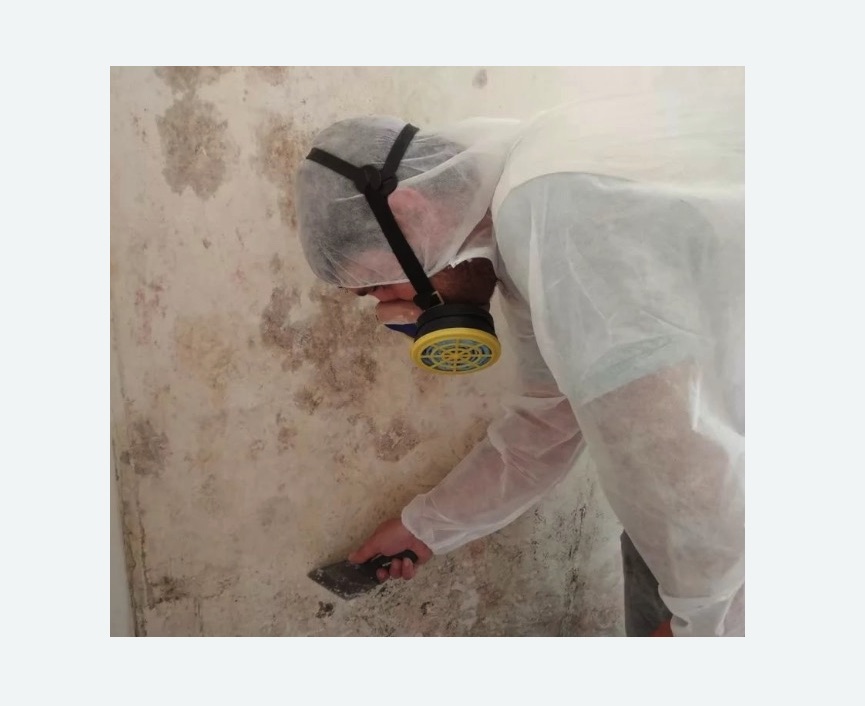 Обработка стен от плесени Обработка стен от плесени в Тайге