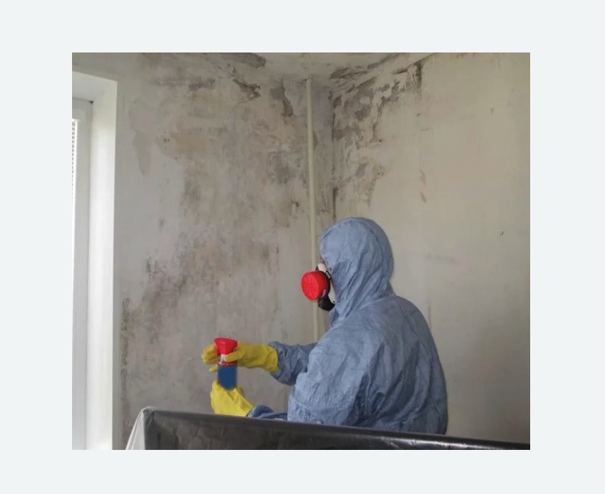 Удаление плесени в квартире Удаление плесени в квартире в Тайге