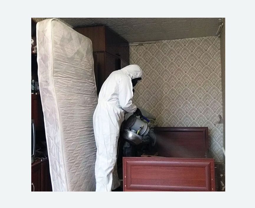 дезинфекция от клопов в Тайге