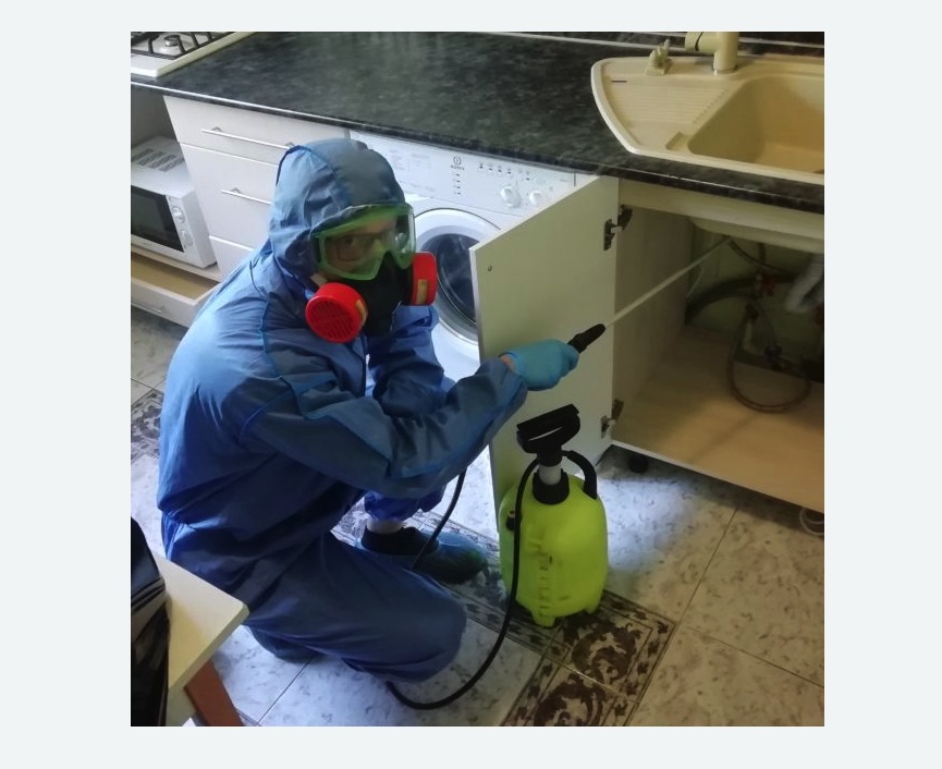 обработка от муравьев в квартире в Тайге