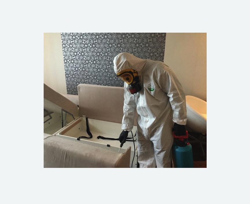 уничтожение клопов в квартире в Тайге